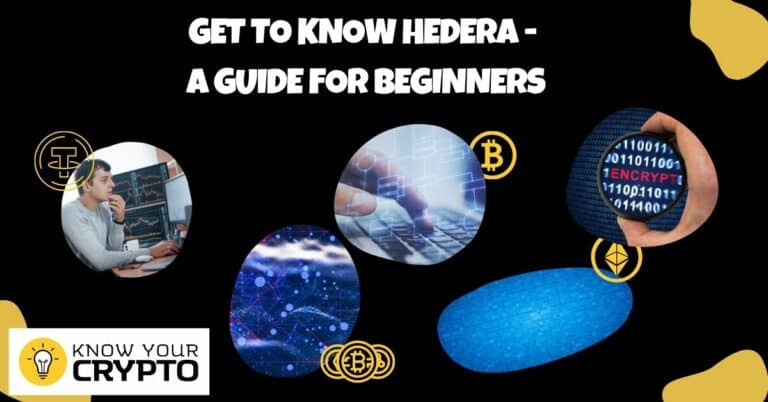 Get To Know Hedera - A Guide for Beginners