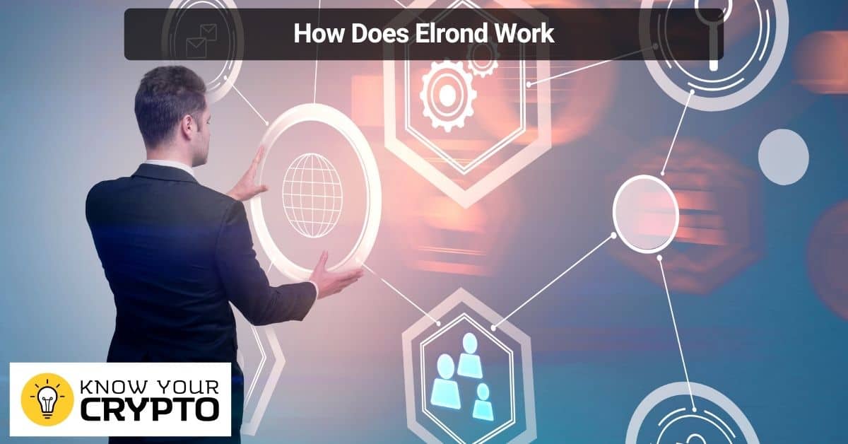 How Does Elrond Work