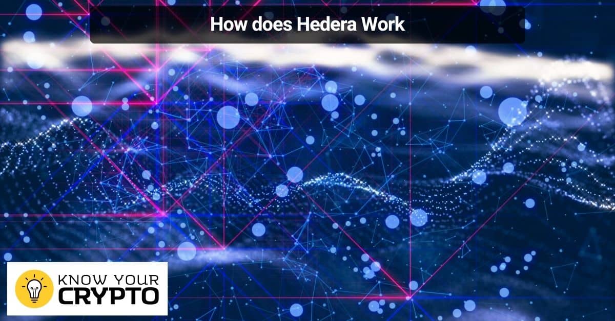 How does Hedera Work