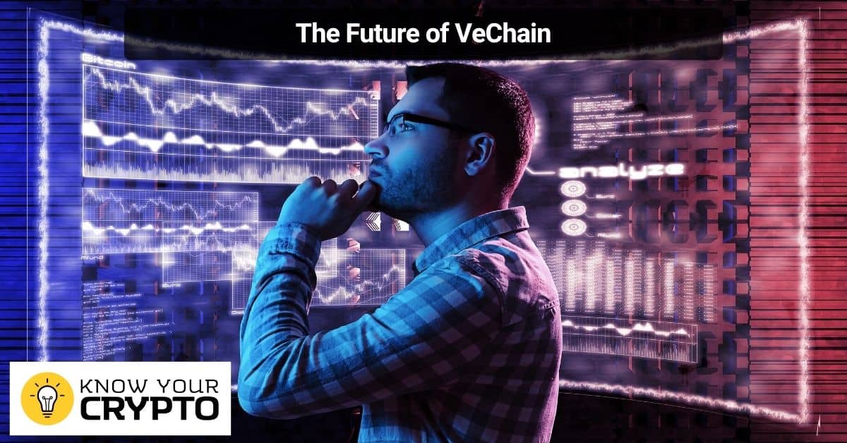 The Future of VeChain