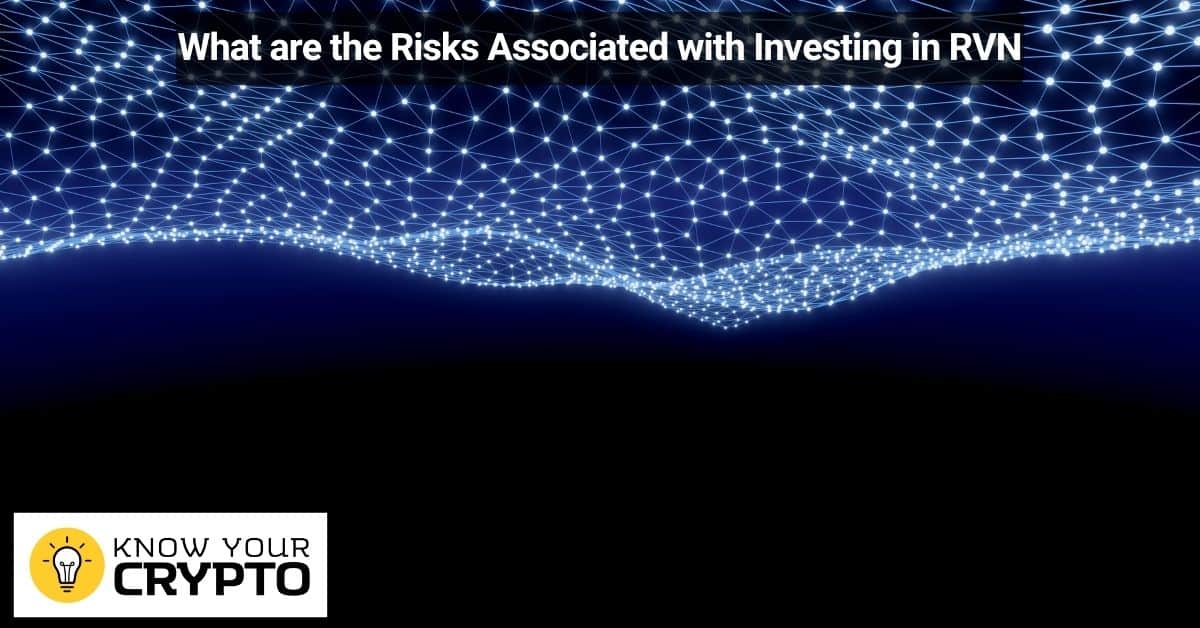 What are the Risks Associated with Investing in RVN