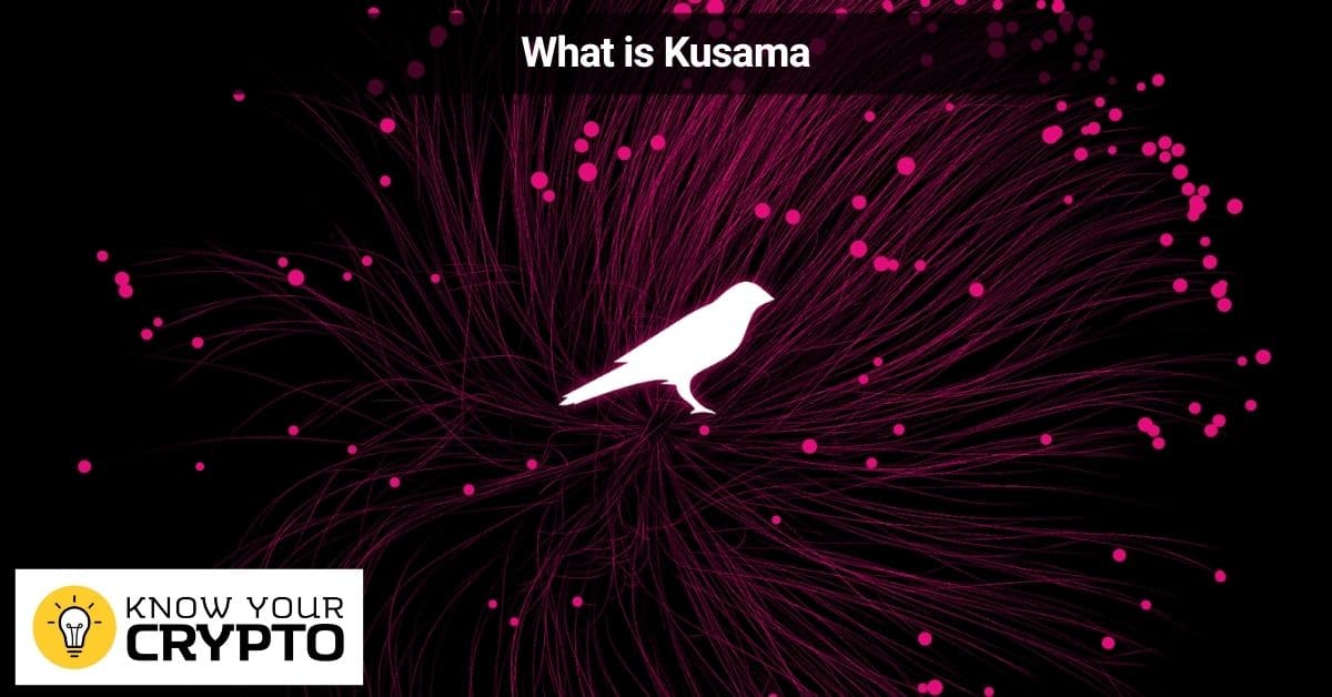What is Kusama