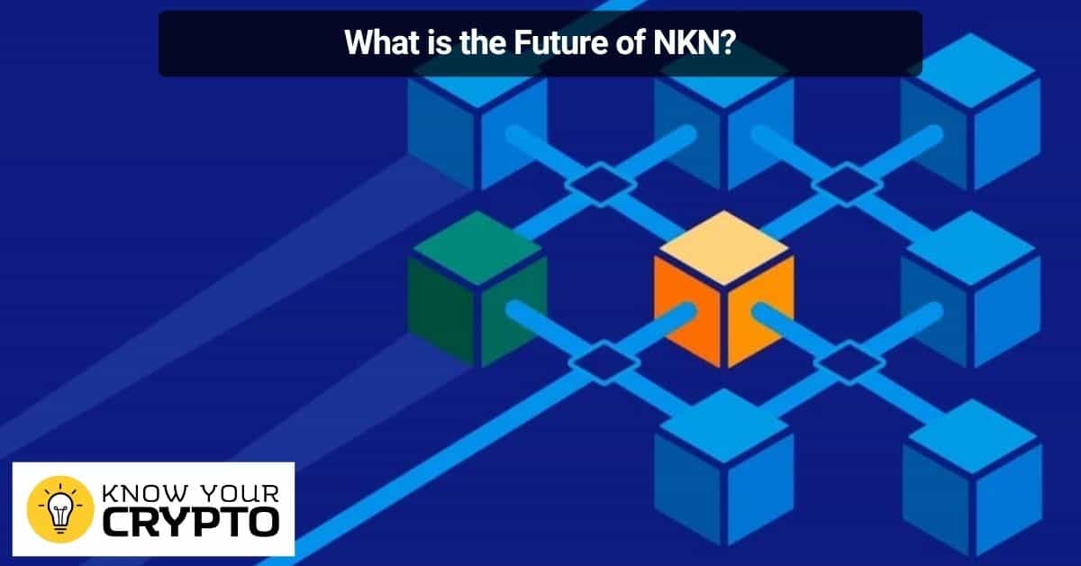 What is the Future of NKN