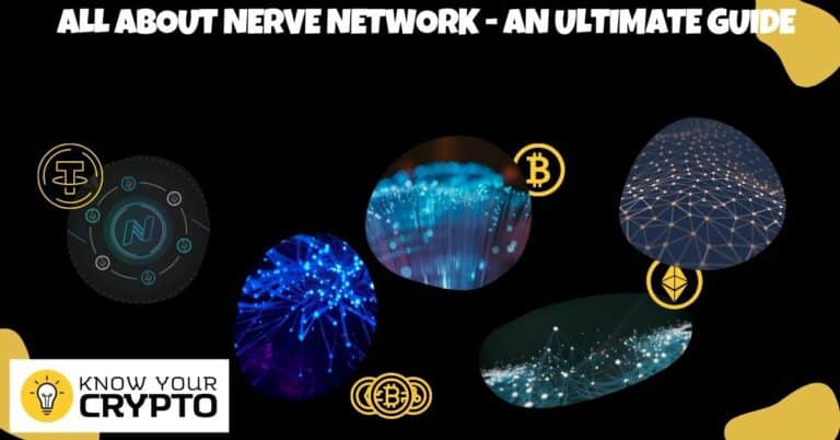 All About Nerve Network - An Ultimate Guide
