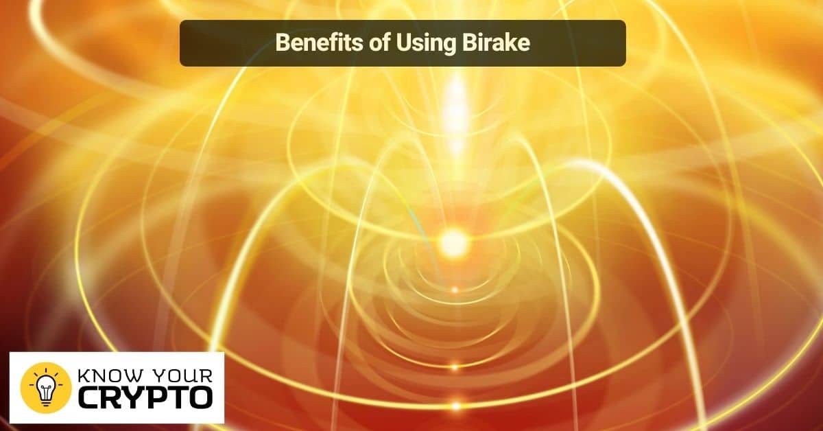 Benefits of Using Birake