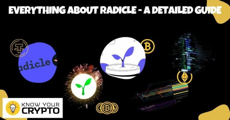 Everything About Radicle - A Detailed Guide