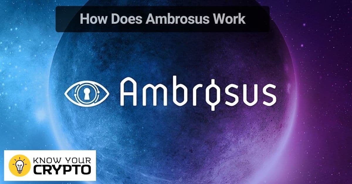 How Does Ambrosus Work