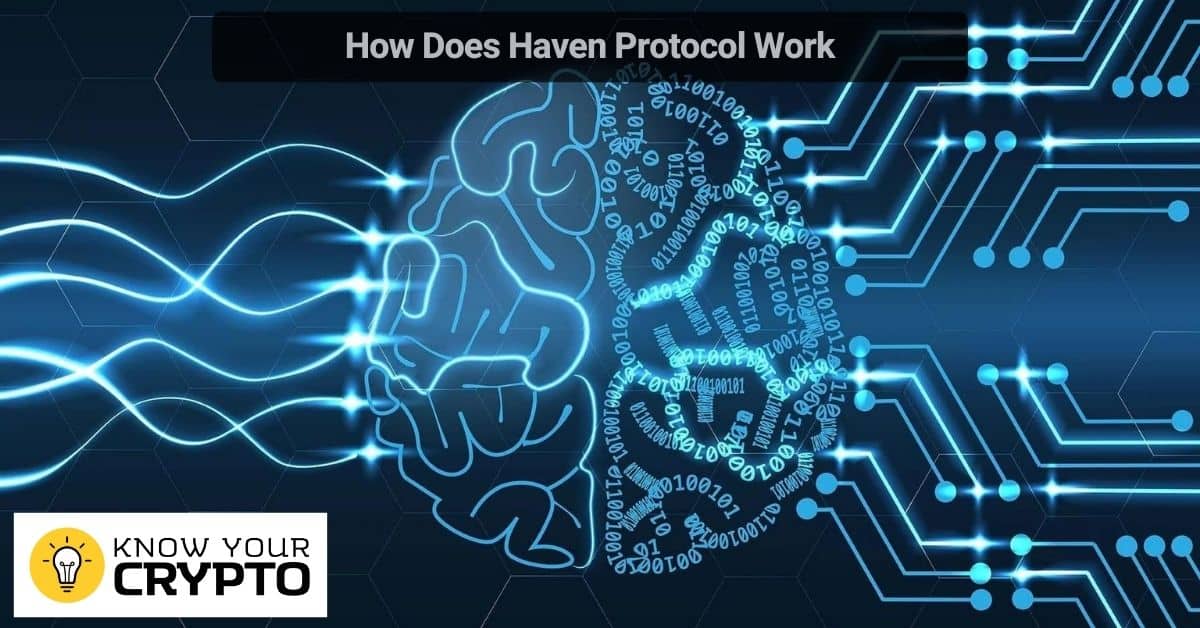 How Does Haven Protocol Work