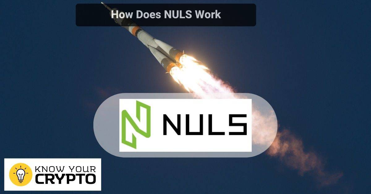 How Does NULS Work