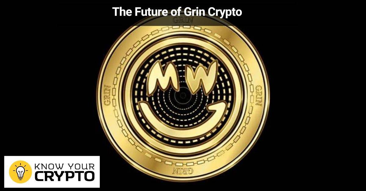 The Future of Grin Crypto