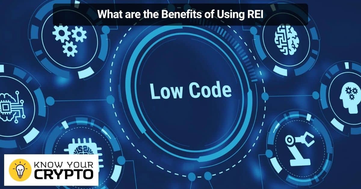 What are the Benefits of Using REI