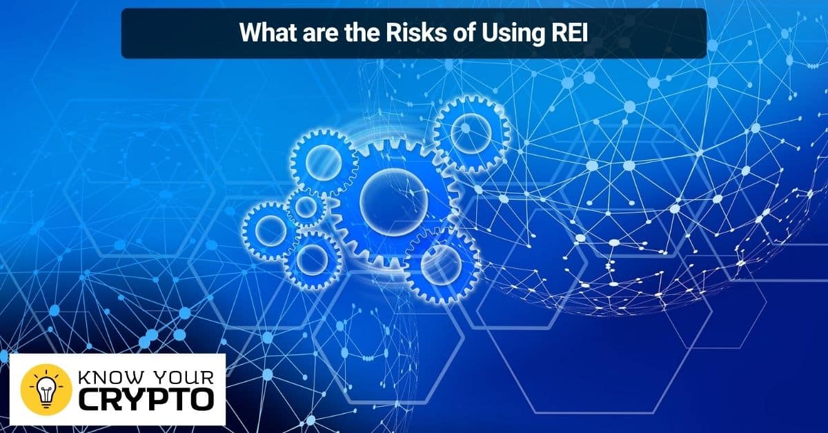What are the Risks of Using REI