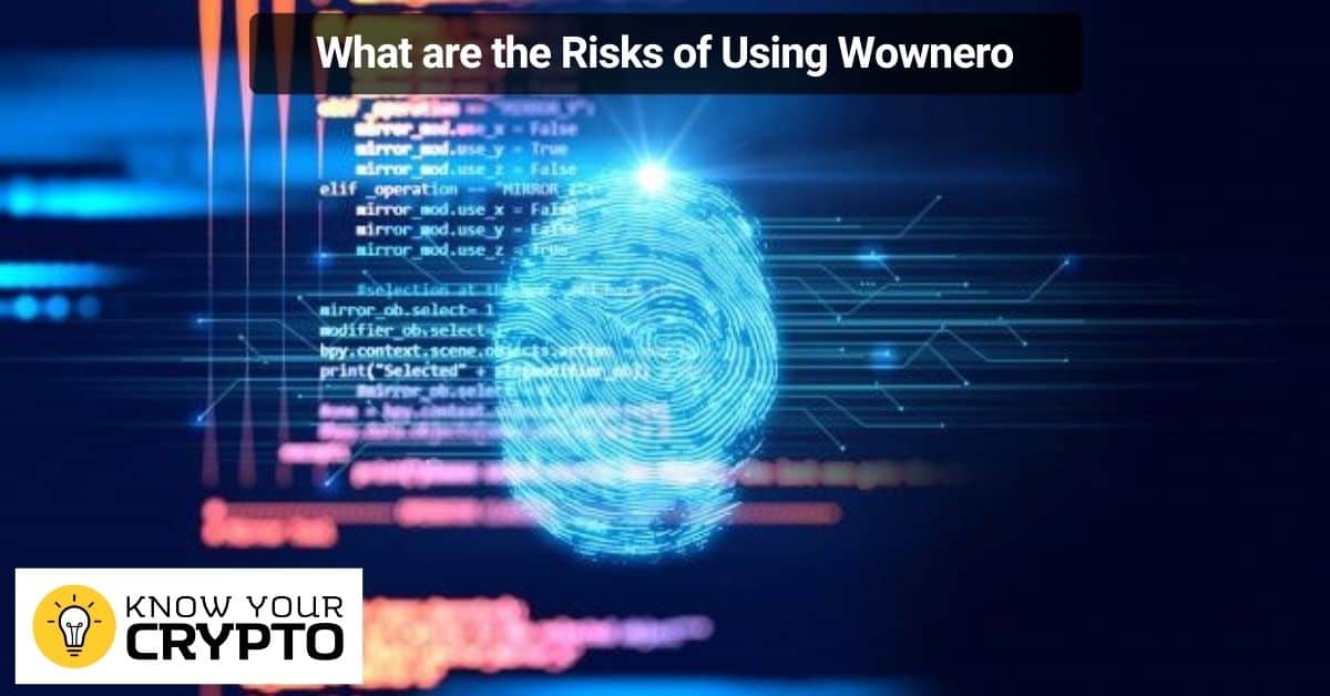 What are the Risks of Using Wownero