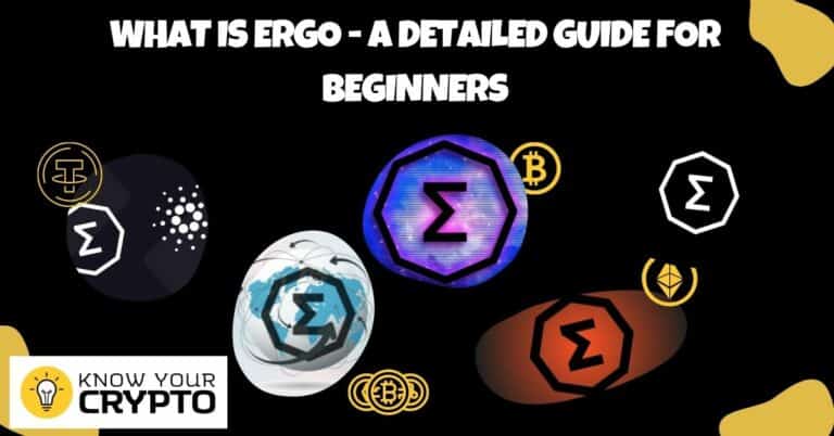 What is Ergo - A Detailed Guide for Beginners
