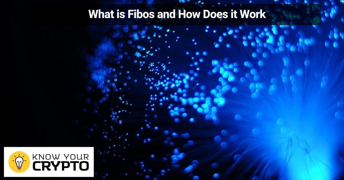 What is Fibos and How Does it Work