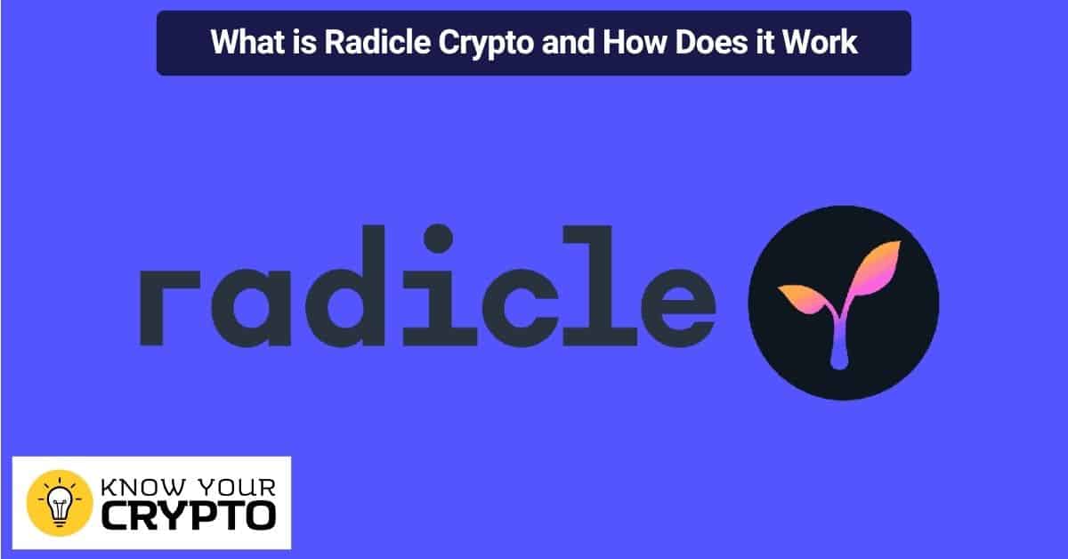 What is Radicle Crypto and How Does it Work
