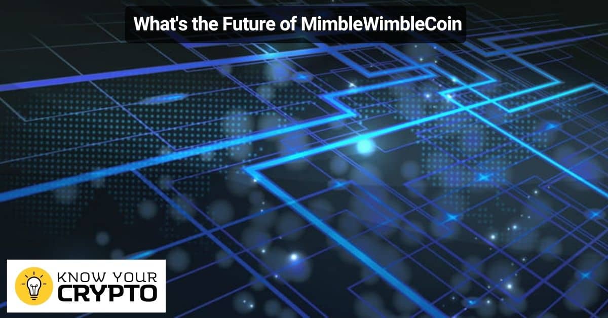 What's the Future of MimbleWimbleCoin